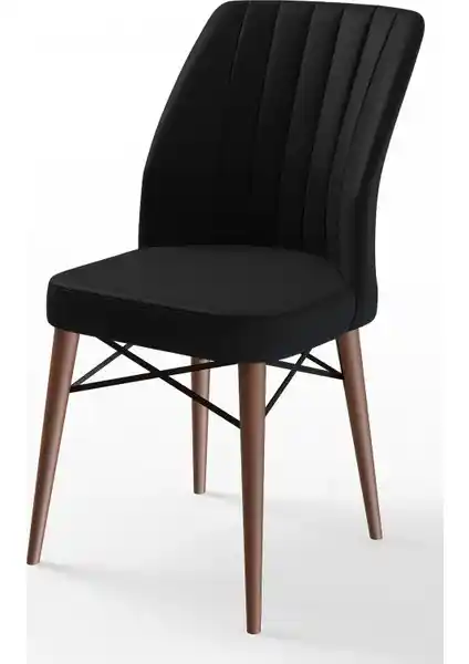 Canisa Concept Flex Serisi Gürgen Ayaklı Modern ve Dayanıklı Sandalye Özellikleri