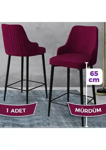 Canisa Concept Tera Serisi Modern Mutfak ve Bar Sandalyesi Ürün Özellikleri ve Tasarımı