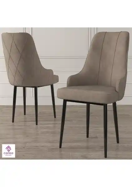 Canisa Concept Trex Serisi Modern ve Dayanıklı Metal Ayaklı Sandalye Çeşitleri ve Özellikleri