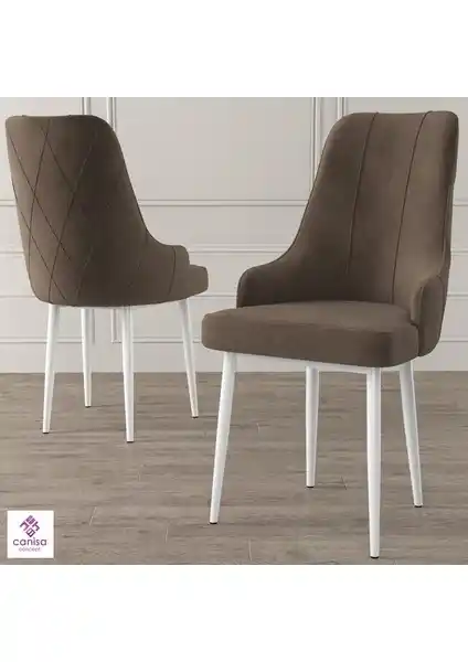 Canisa Concept Trex Serisi Modern ve Dayanıklı Metal Ayaklı Sandalye Tanıtımı