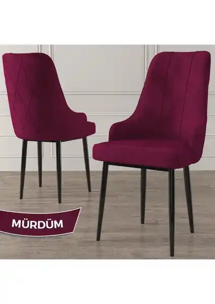 Canisa Concept Trex Serisi Modern ve Dayanıklı Oturma Çözümü 80 Karakter