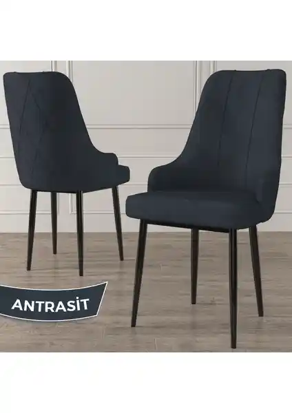 Canisa Concept Trex Serisi Modern ve Dayanıklı Oturma Çözümü Ev ve Ofis Kullanımı İçin