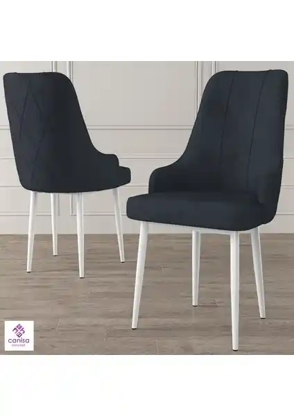 Canisa Concept Trex Serisi Modern ve Dayanıklı Oturma Sandalyesi Çeşitleri ve Özellikleri