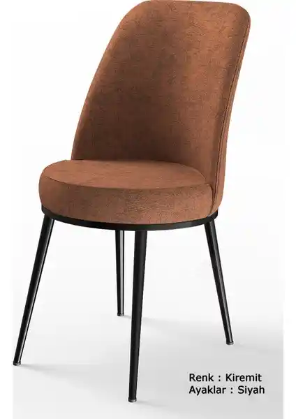 Canisa Dexa Serisi Modern ve Dayanıklı Mutfak Sandalyeleri 4'lü Paket