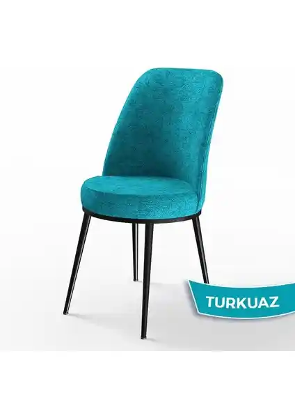 Canisa Dexa Serisi Mutfak Sandalyesi Modern Tasarım ve Dayanıklılık Sunar