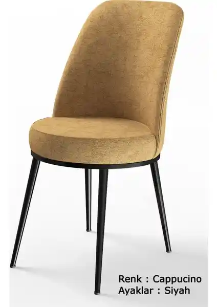 Canisa Dexa Serisi Sandalye: Modern Tasarım ve Yüksek Konfor Sunan Oturma Çözümü