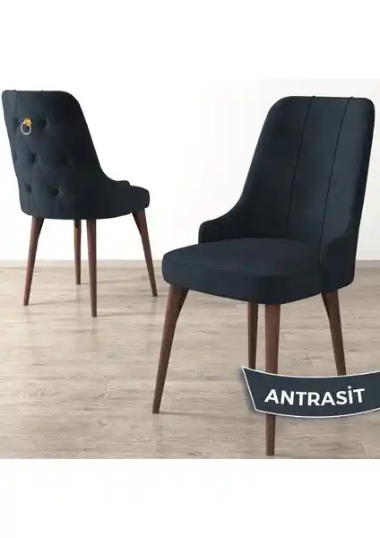 Canisa Enoa Serisi Modern Tasarım ve Üstün Konfor Sunan Sandalye Modeli