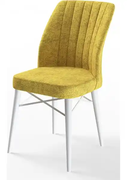 Canisa Flex Serisi Gürgen Ayaklı Modern Sandalye - Dayanıklı ve Estetik Tasarım