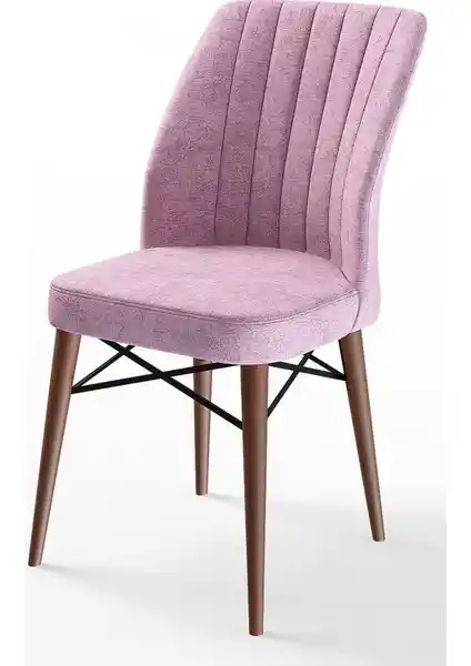 Canisa Flex Serisi Modern ve Konforlu Ahşap Sandalye Çeşitleri Hakkında Detaylar