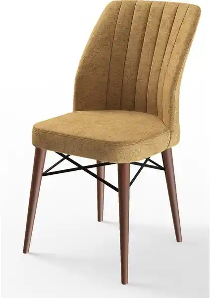 Canisa Flex Serisi Modern ve Konforlu Sandalye Çeşidi Geniş Renk Seçenekleriyle