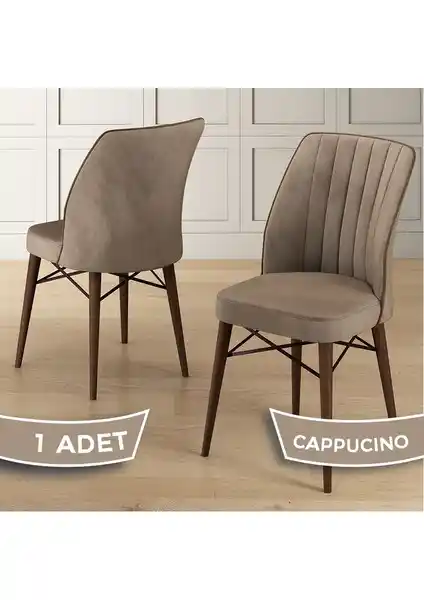 Canisa Nuna Serisi Modern ve Dayanıklı Mutfak Sandalyesi, Estetik ve Konforun Birleşimi