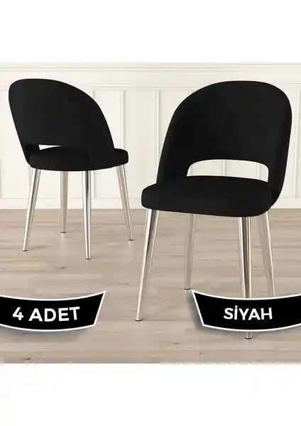Canisa Pane Serisi 4 Adet Modern Mutfak Sandalyesi Dayanıklı ve Şık Tasarım