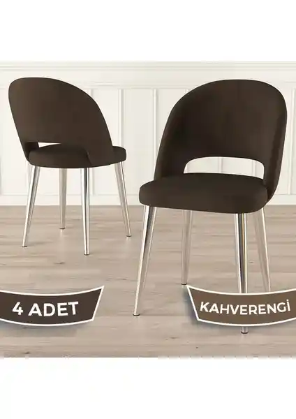 Canisa Pane Serisi Modern Mutfak Sandalyeleri Dayanıklı ve Şık Tasarım