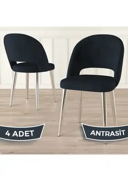 Canisa Pane Serisi Modern ve Dayanıklı Mutfak Sandalyesi Seti 4'lü