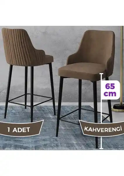 Canisa Tera Serisi Mutfak Bar Sandalyesi Modern ve Dayanıklı Tasarım Özellikleri