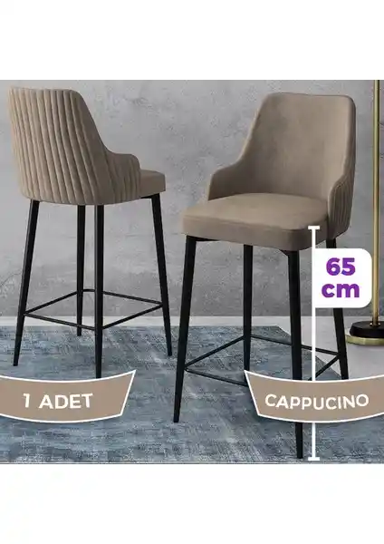 Canisa Tera Serisi Mutfak ve Bar Sandalyesi Modern Tasarım ve Dayanıklılık Özellikleri