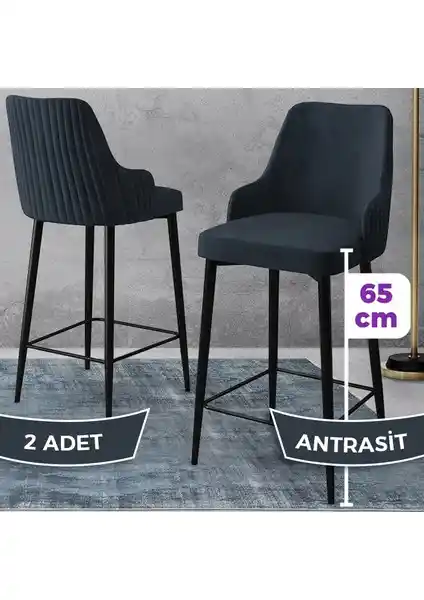 Canisa Tera Serisi Mutfak ve Bar Sandalyesi: Şık Tasarım ve Dayanıklı Malzeme Özellikleri
