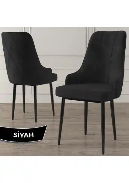 Canisa Trex Serisi Modern ve Dayanıklı Konforlu Sandalyelerle Mekânlarınızı Zenginleştirin