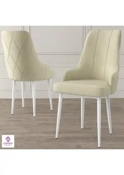 Canisa Trex Serisi Modern ve Dayanıklı Metal Ayaklı Sandalye Çeşidi