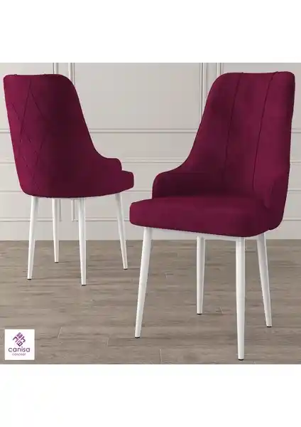 Canisa Trex Serisi Modern ve Dayanıklı Metal Ayaklı Sandalye Ürün İncelemesi