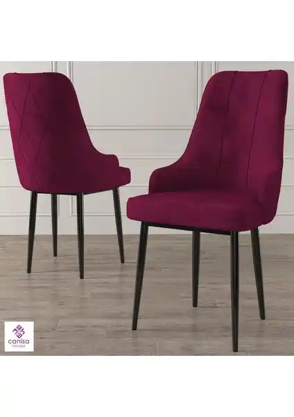 Canisa Trex Serisi Modern ve Dayanıklı Oturma Sandalyesi Özellikleri ve Tasarımı