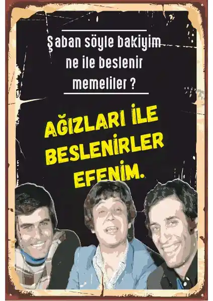 Hayat Poster Hababam Sınıfı Yeşilçam Retro Ahşap Poster Dekoratif Sanat Eseri