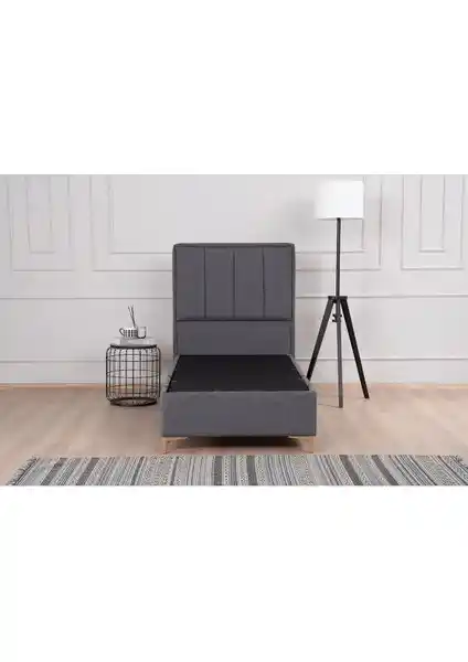 Kilim Mobilya Gold Therapy Sanlı Baza ve Başlık Seti Modern Tasarım ve Fonksiyonellik