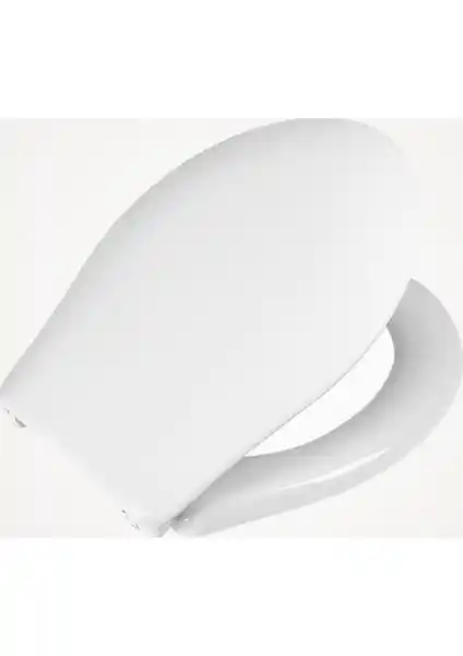 Özbest Klozet Kapağı: Estetik ve Dayanıklı Tasarım Seçenekleri Hakkında Bilgi