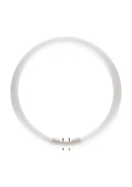 Philips MASTER TL5 Circular 60W/830 3000K Günışığı Floresan Ampul - Uzun Ömürlü ve Enerji Tasarruflu