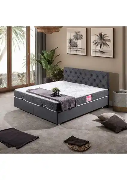 Setay Eylül İkili Baza ve Başlık Seti Modern Tasarım ve Dayanıklılık Özellikleri