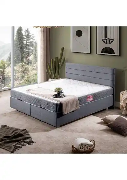 Setay Sofia İkili Baza ve Başlık Seti Modern Tasarım ve Dayanıklılık Sunar