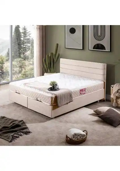 Setay Sofia İkili Baza ve Başlık Takımı Modern Tasarım ve Dayanıklı Malzemelerle