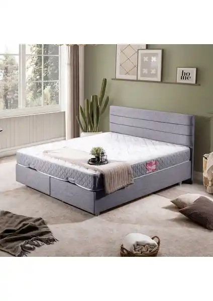 Setay Sofia İkili Çift Kişilik Baza ve Başlık Seti Modern Tasarım ve Uzun Ömür Sunar