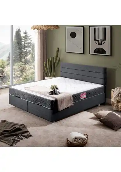 Setay Sofia İkili Çift Kişilik Baza ve Başlık Takımı Modern ve Dayanıklı Tasarım