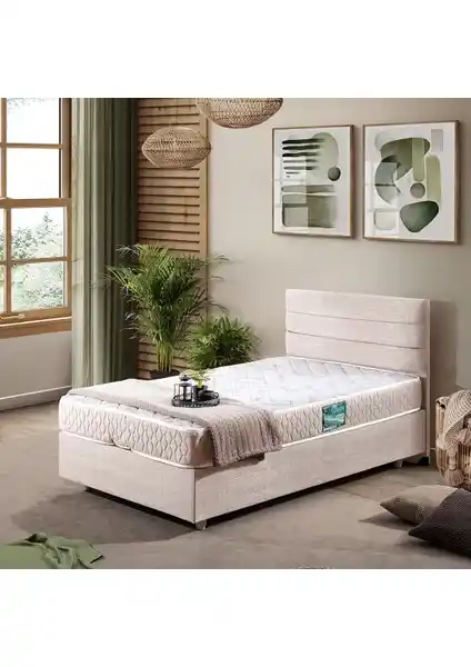 Setay Sofia Tek Kişilik Baza ve Başlık Seti Modern Tasarım ve Dayanıklılık Özellikleri