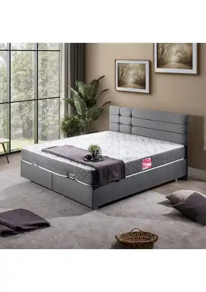 Setay Viyana Çift Kişilik Baza ve Başlık Seti Modern Tasarım ve Dayanıklılık Sunar