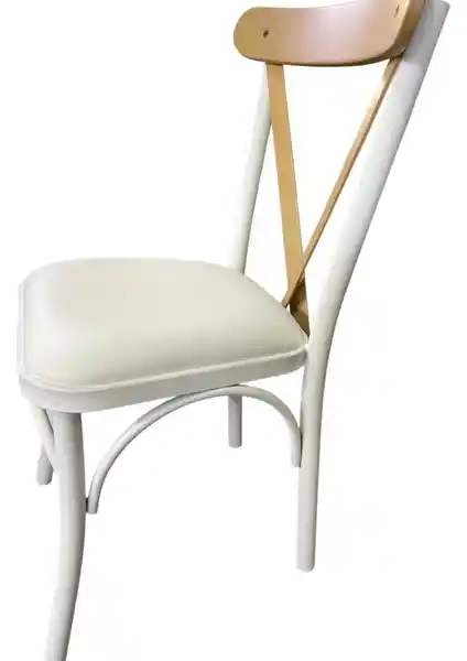 YSR Ev Tekstili Sandalye Modern ve Şık Tasarım ile Konfor ve Dayanıklılık Sunar