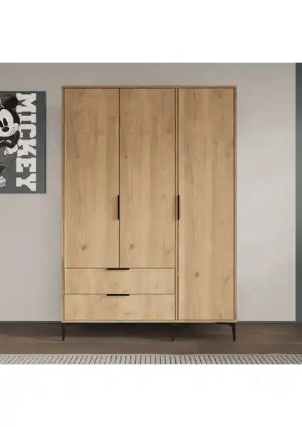 Alonex Aden 3 Kapaklı Çekmeceli Sepet Gardırop Modern ve Fonksiyonel Depolama Çözümü