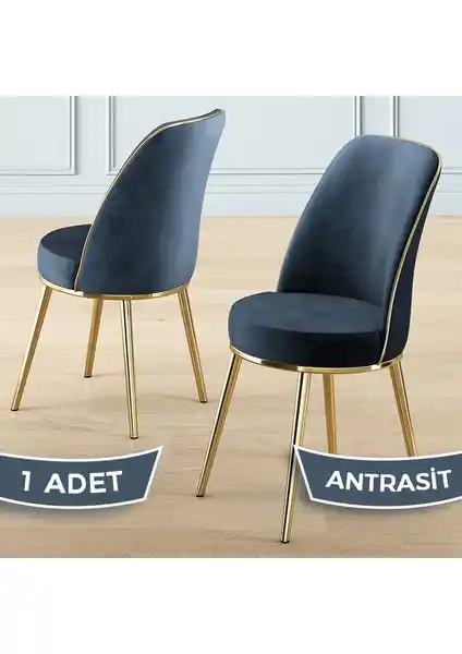 Canisa Pefa Serisi Antrasit Mutfak Sandalyesi Modern ve Dayanıklı Tasarım Özellikleri