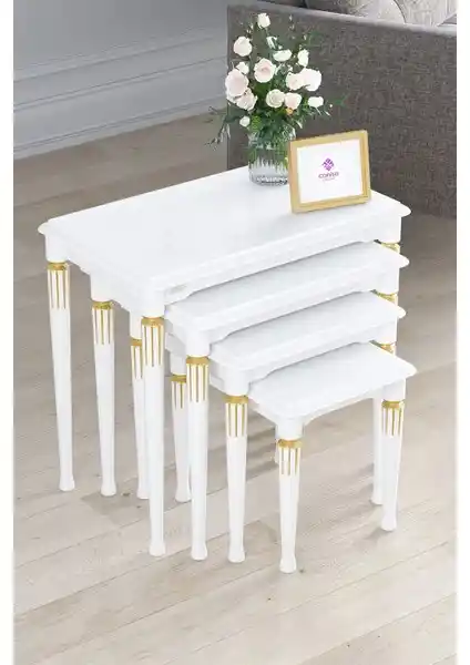 Canisa Zeyra Serisi 1. Sınıf MDF ve Lake Boya Modern Çoklu Sehpa Takımı