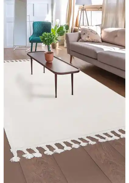 Dijidekor Modern Vizon Renkli Antibakteriyel Kaymaz Halı Seçenekleri ve Özellikleri