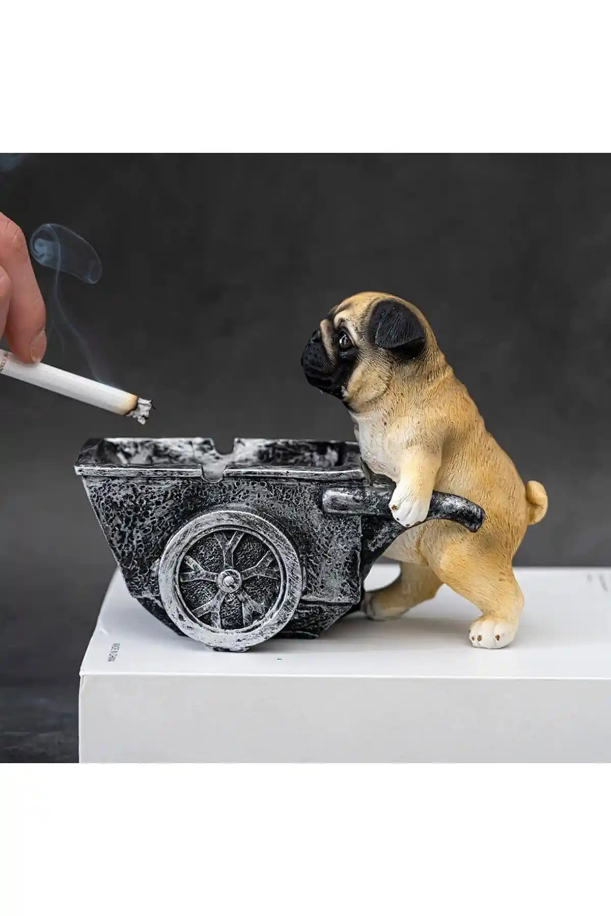 Florada Yeni Dekoratif Köpek Küllüğü Modern Tasarım ve Dayanıklı Malzeme ile