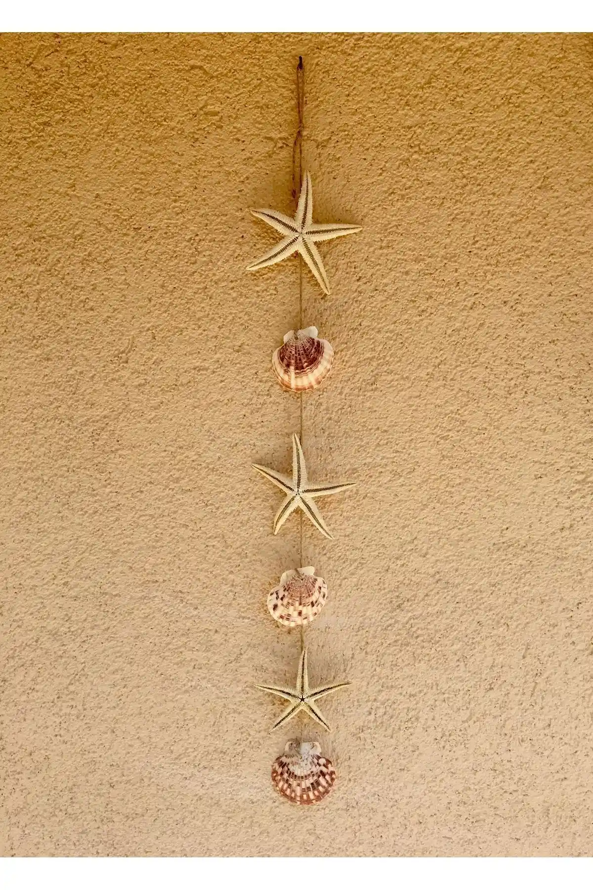 Gerçek Deniz Yılzı ve İstiridye ile Şık ve Doğal Dekorasyon Seçenekleri