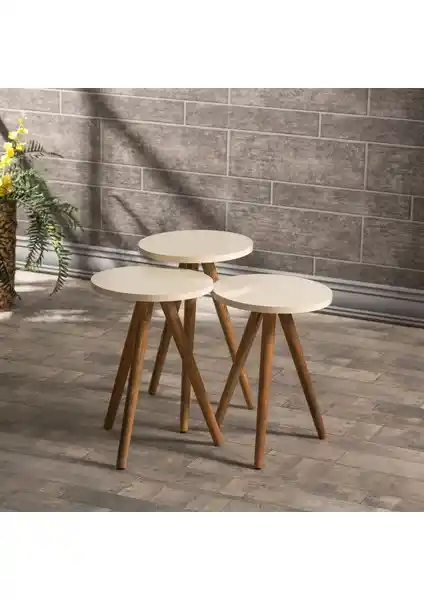 Gold Falez Mobilya Aksesuar Zigon Sehpa Seti Modern ve Şık Tasarımıyla Kullanım Kolaylığı Sağlar