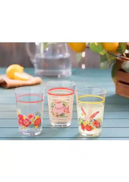 Madame Coco Flamingo Su Bardağı Seti: Şık ve Pratik Renkli Cam Bardaklar