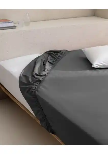 Madame Coco Manon %100 Pamuk Ranforce King Size Lastikli Çarşaf Antrasit Renkli Yatak Örtüsü