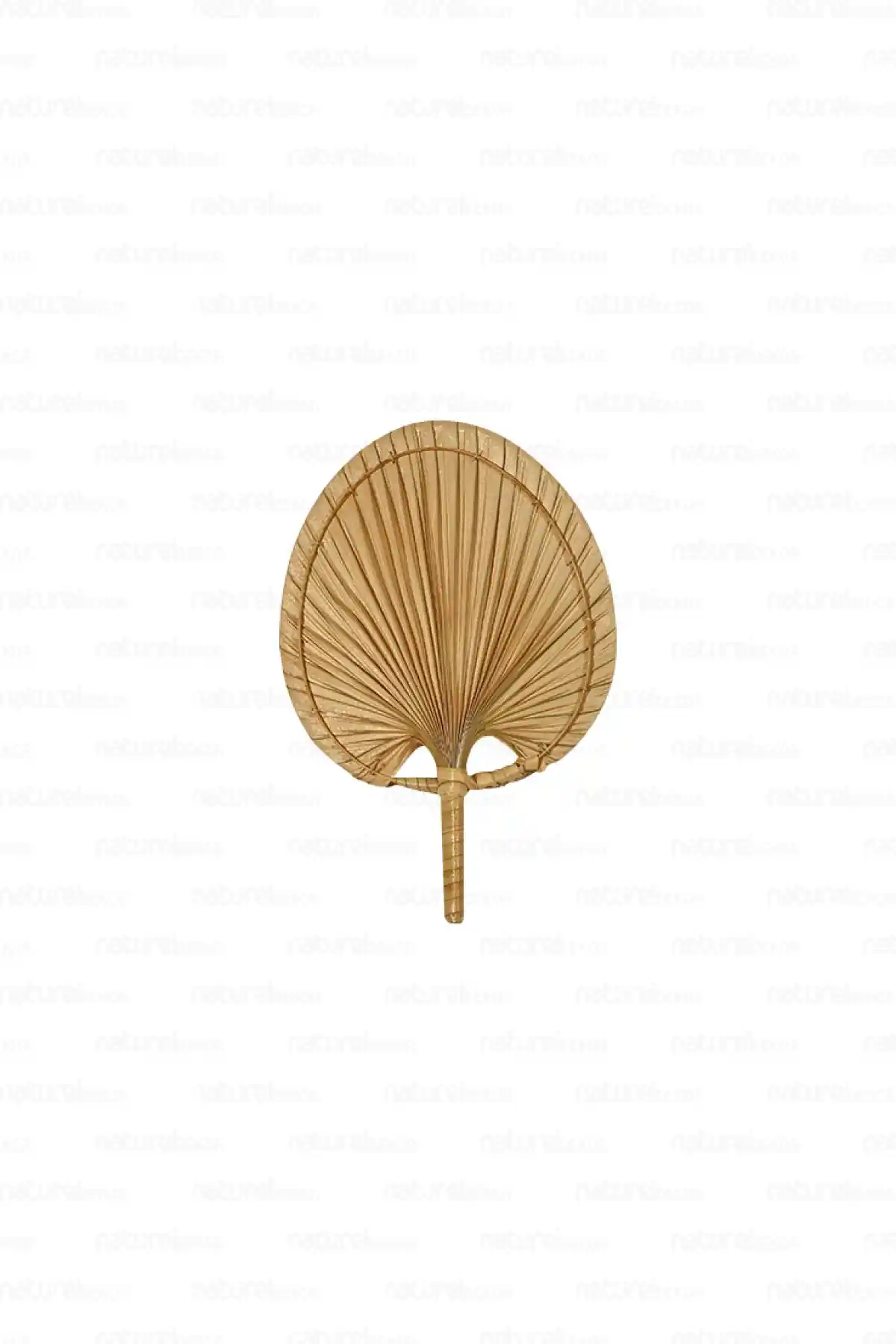 Naturel Home Bohem Palmiye Yaprağı ile Doğal ve Şık Duvar Dekoru Önerileri