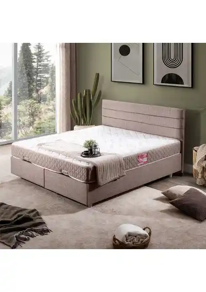 Setay Sofia İkili Çift Kişilik Baza ve Başlık Seti Modern Tasarım ve Dayanıklı Malzeme ile