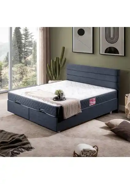 Setay Sofia İkili Çift Kişilik Baza ve Başlık Seti Modern ve Şık Yatak Odası Çözümü