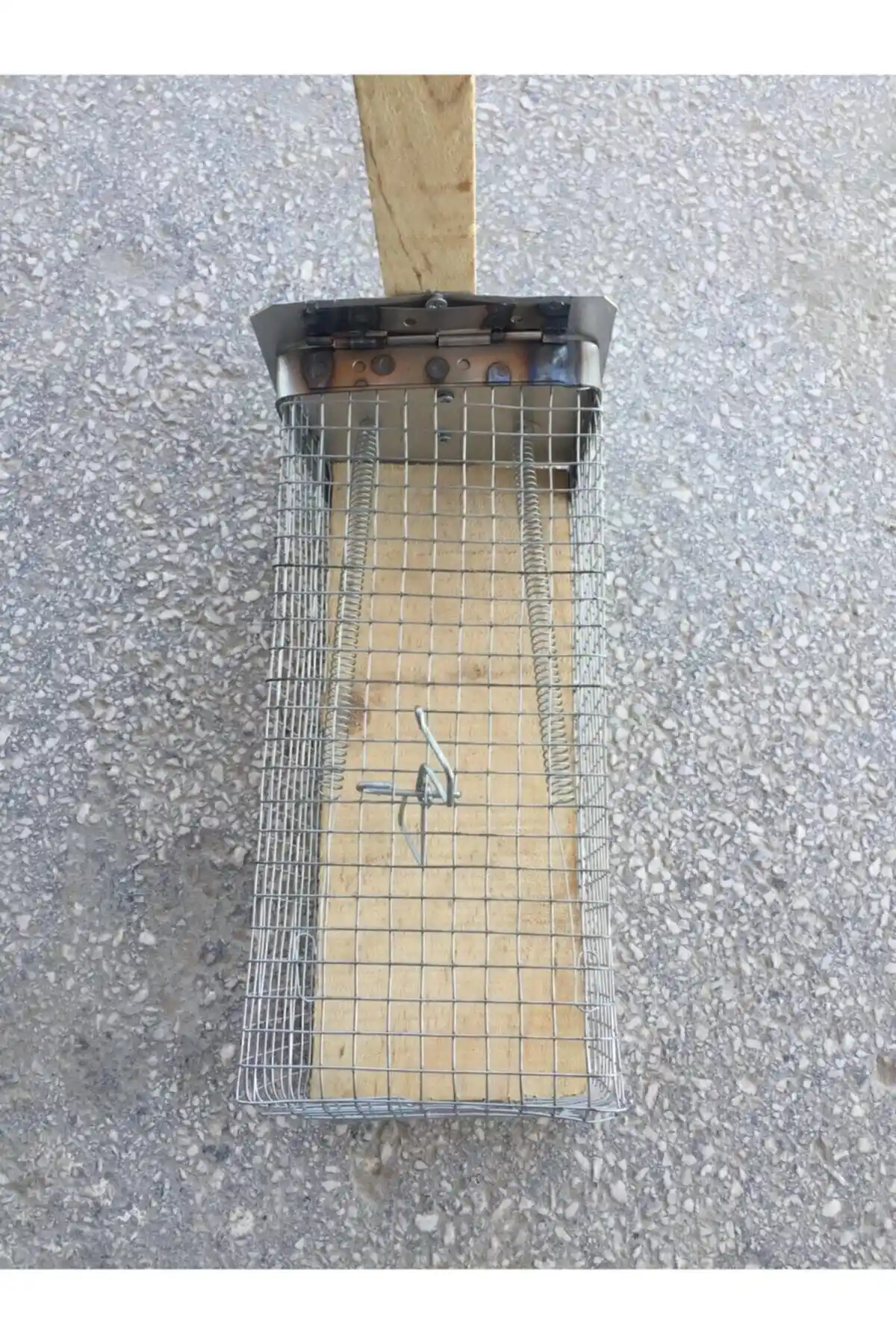 Farel Fare Kapanı: Etkili ve Güvenli Fare Yakalama Çözümü Türkiye Menşeli Ürün